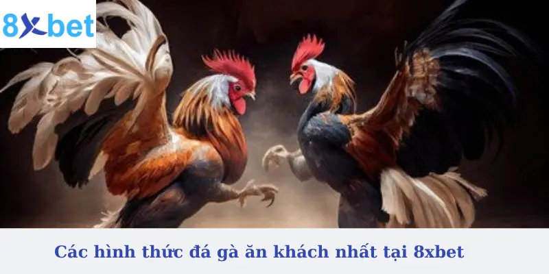 Các hình thức đá gà ăn khách nhất tại 8xbet