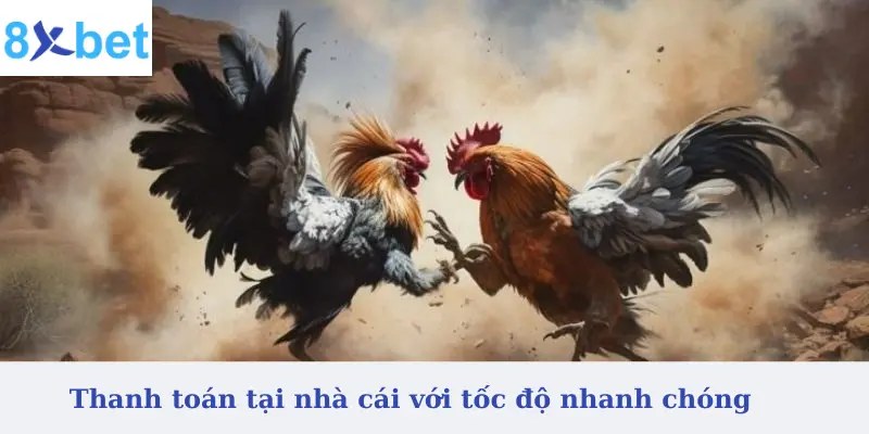 Thanh toán tại nhà cái với tốc độ nhanh chóng